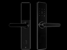 青松沃德-Wi-Fi 指紋鎖家用防盜門智能門鎖密碼鎖刷卡電子鎖 防磁干擾 防撬 L9-WT (不含鎖體，鎖體需另購）